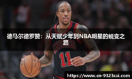 9323彩集团官网